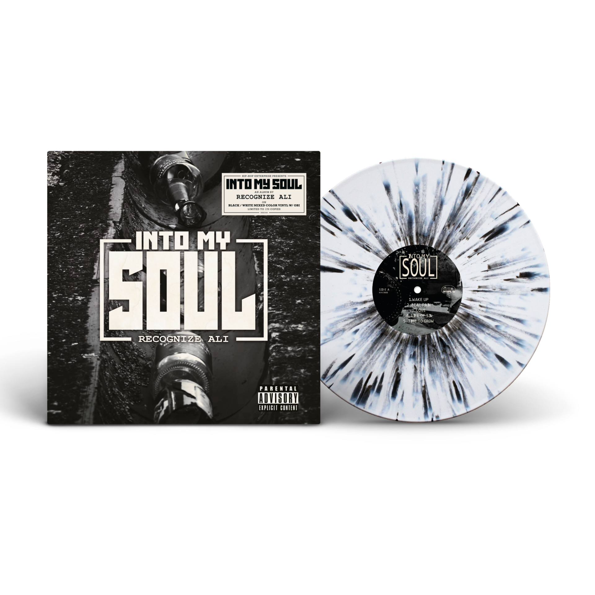 洋楽 LP INTO MY SOUL RECOGNIZE ALI Recognize Ali - Into My Soul – AppleDizzle Records