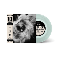 Load image into Gallery viewer, Raekwon - 10 Bricks 7 inch vinyl with picture sleeve