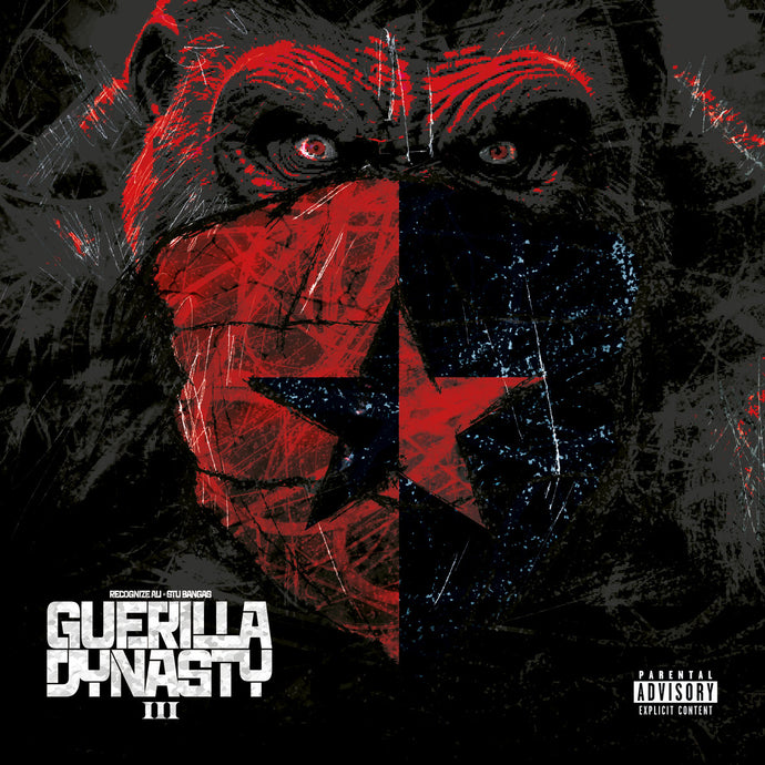 Vinyl - Recognize Ali - Stu Bangas - Guerilla Dynasty 3