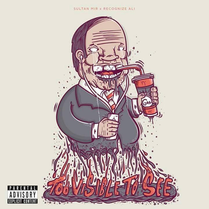 Vinyl - Recognize Ali & Sultan Mir - Too Visible To See